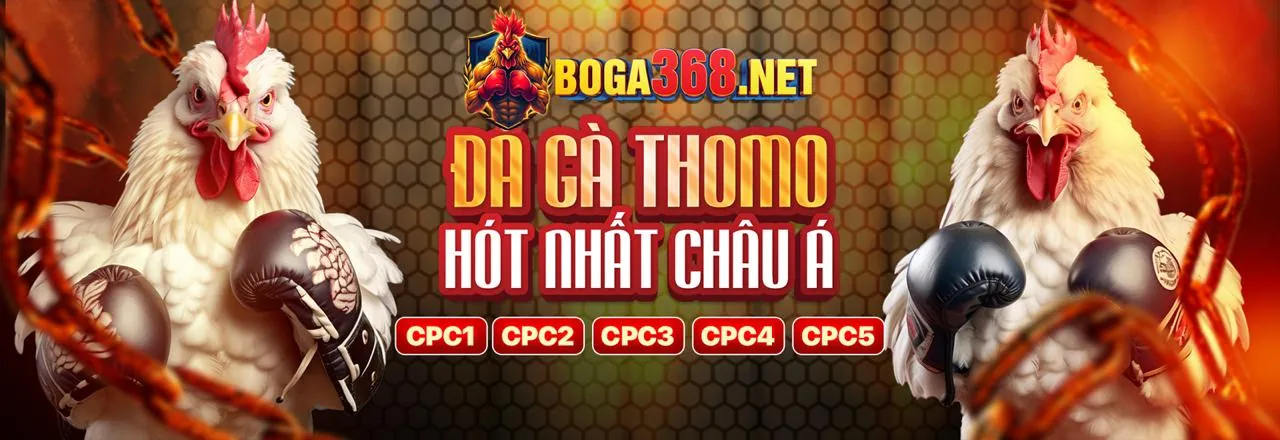 Đá gà trực tuyến kịch tính tại nn88n nhà cái